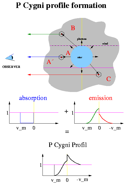 P Cygni profile formation