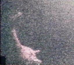 One of Rine's photos purported to be of the Loch Ness monster