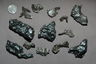 Sikhote-Alin meteorite fragments