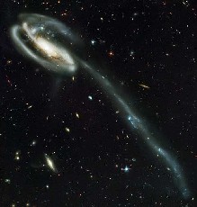 Tadpole Galaxy