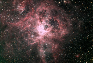 Tarantula Nebula