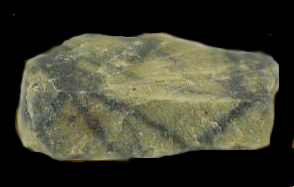 fragment of the Tatahouine meteorite