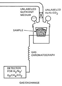 Viking GEX experiment