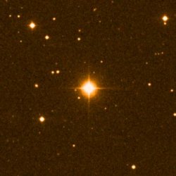 W Ursae Majoris