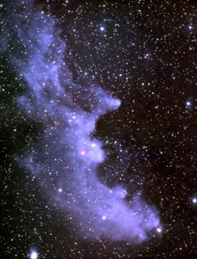 Witch Head Nebula (IC 2118)