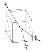 Wollaston prism