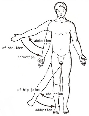 abduction and adduction