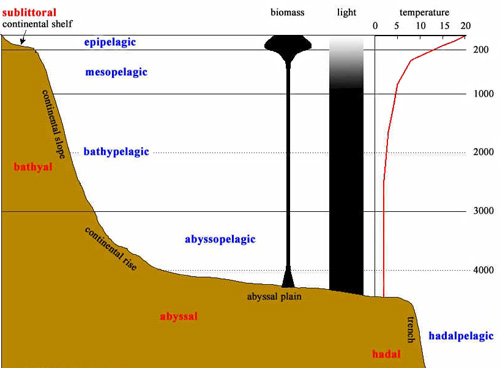 oceanic zones