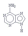 adenine molecule