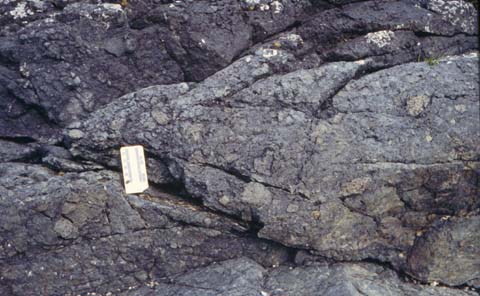 agglomerate, Kootznahoo Formation, Southeastern 
            Alaska