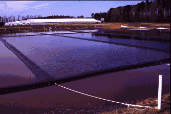 anaerobic lagoon