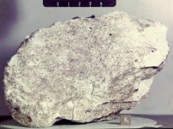 lunar anorthosite