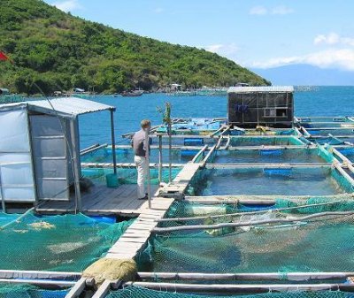 aquaculture