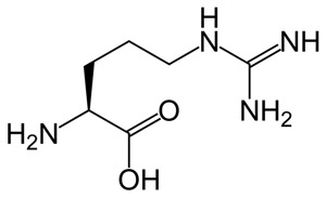 arginine molecule