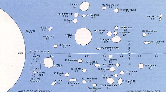 relative sizes and shapes of some asteroids