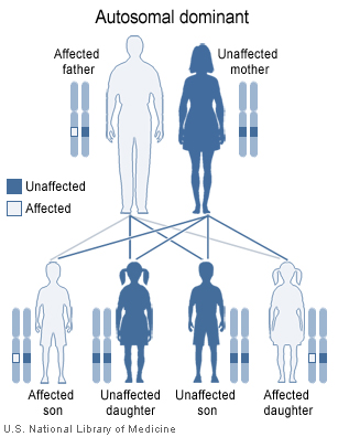 autosomal dominant