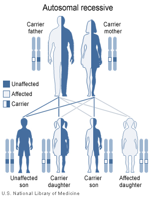 autosomal recessive