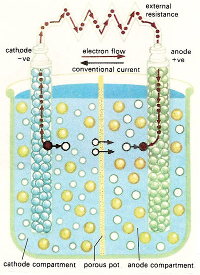 schematic diagram of a Daniell cell