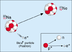 beta-plus decay