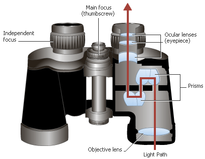 binoculars