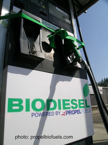 biodiesel pump