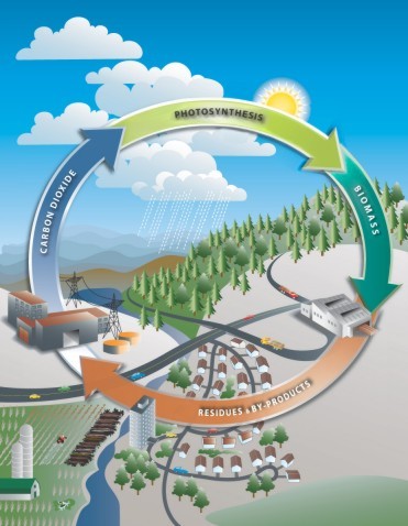 biomass energy