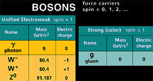 bosons