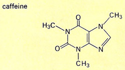 caffeine molecule