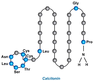 calcitonin