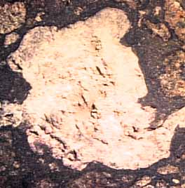 calcium aluminum inclusion in a specimen of the Allende meteorite