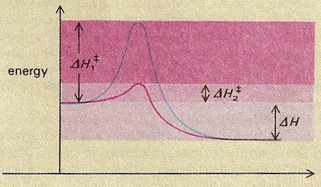 catalysis