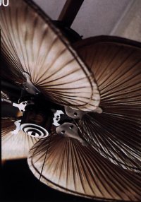ceiling fan