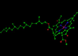 Spatial arrangement of a chlorophyll molecule