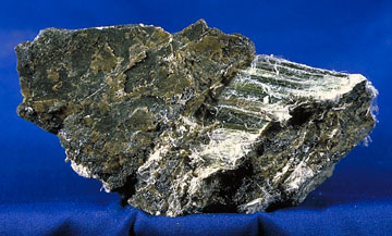 Asbestos in the form of the mineral 
            chrysotile
