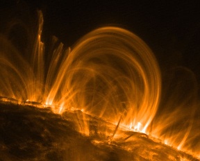 coronal loop