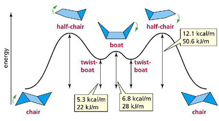 cyclohexane conformations