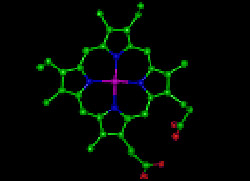 Molecular model of a cytochrome