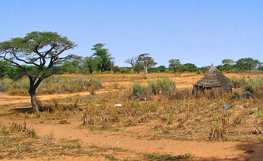 desertification in the Sahel