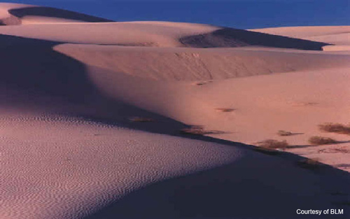 Imperial Sand Dunes, California