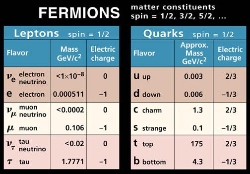 fermions