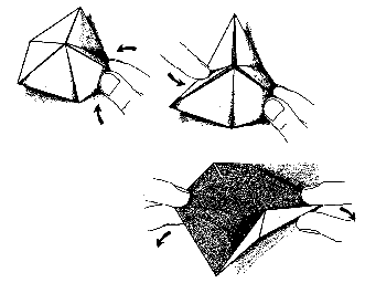 folding a flexagon