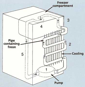 inside a freezer