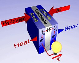 fuel cell