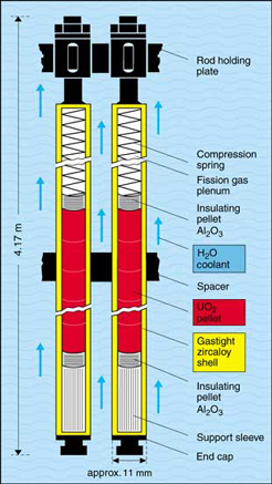 fuel rod