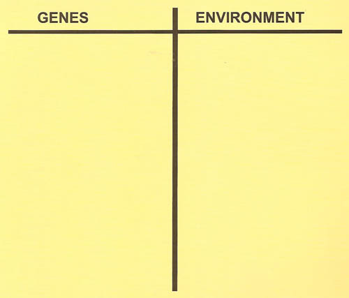 genes versus environment