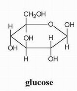 glucose molecule