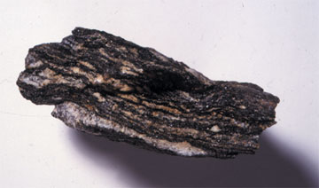 gneiss