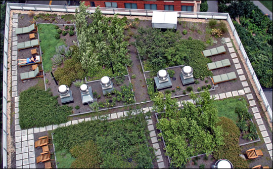 green roof