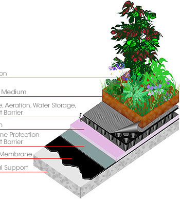 layers of a typical green roof