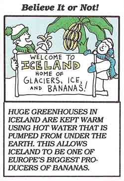 Icelandic greenhouses
